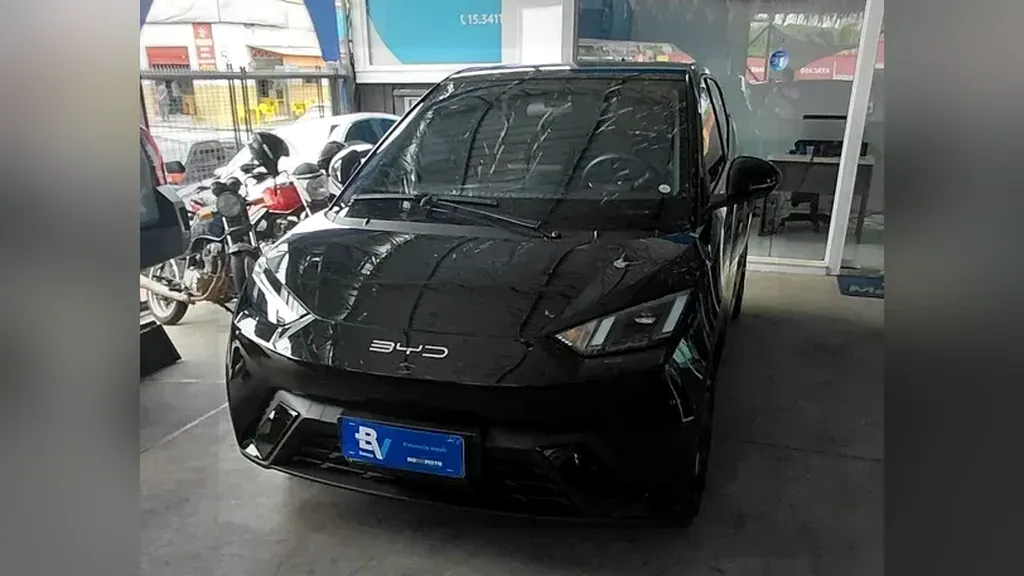 Foto de um byd dolphin mini