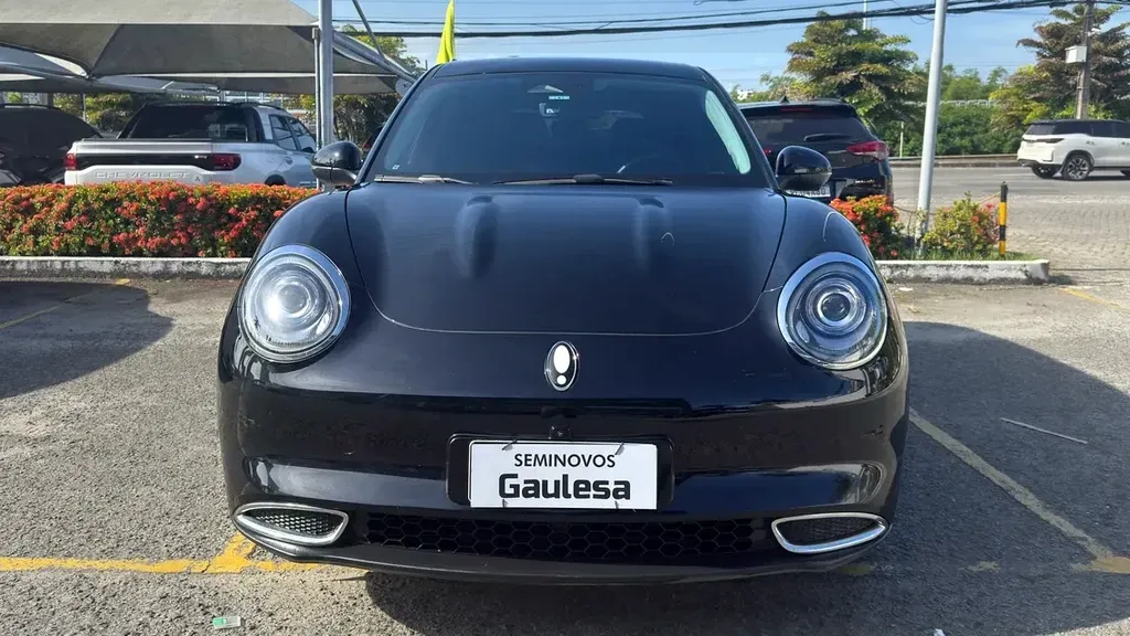 Foto de um gwm ora 03