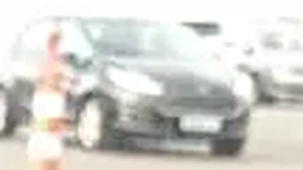 BYD Dolphin Plus - Imagem 14