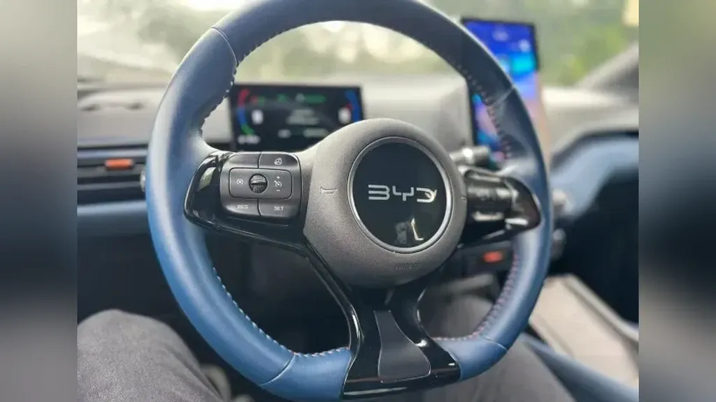 BYD Dolphin Mini - Imagem 10