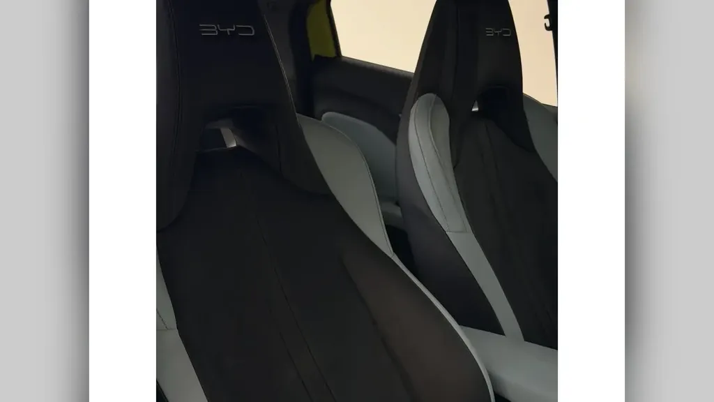 BYD Dolphin Mini - Imagem 12