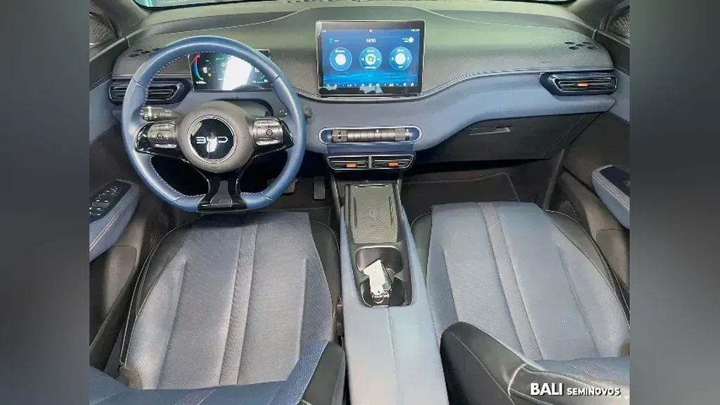 BYD Dolphin Mini - Imagem 13