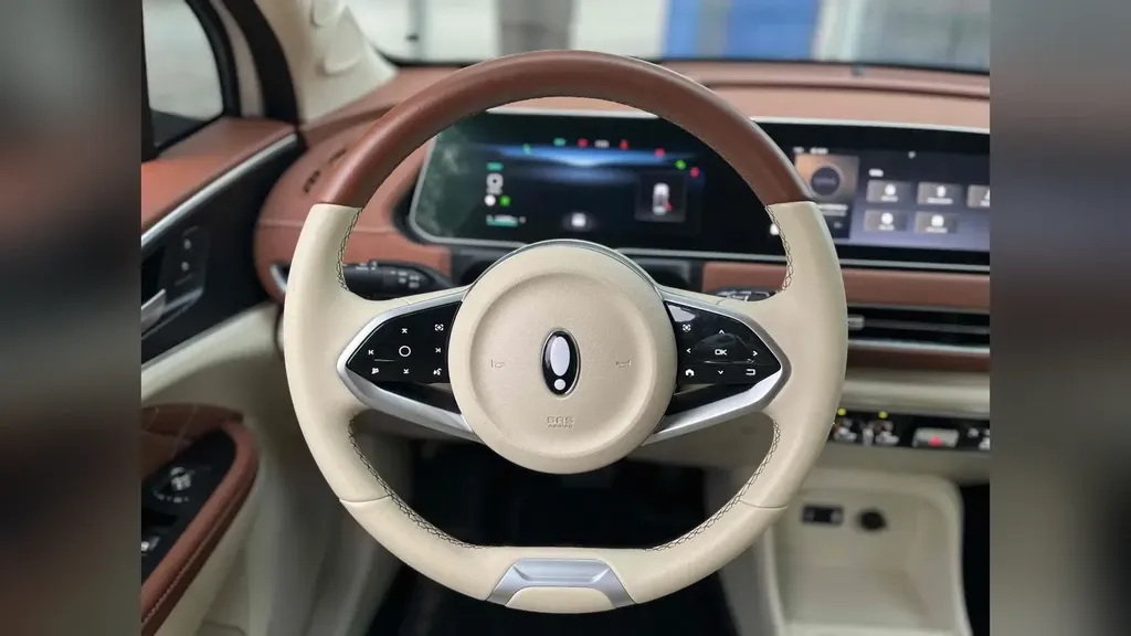 GWM Ora 03 - Imagem 9