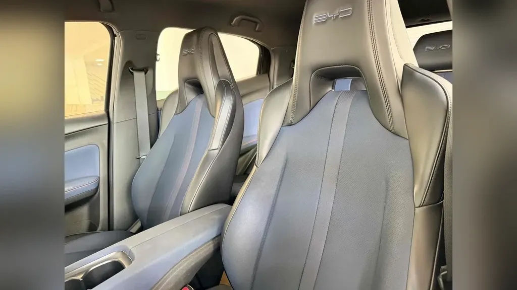 BYD Dolphin Mini - Imagem 15