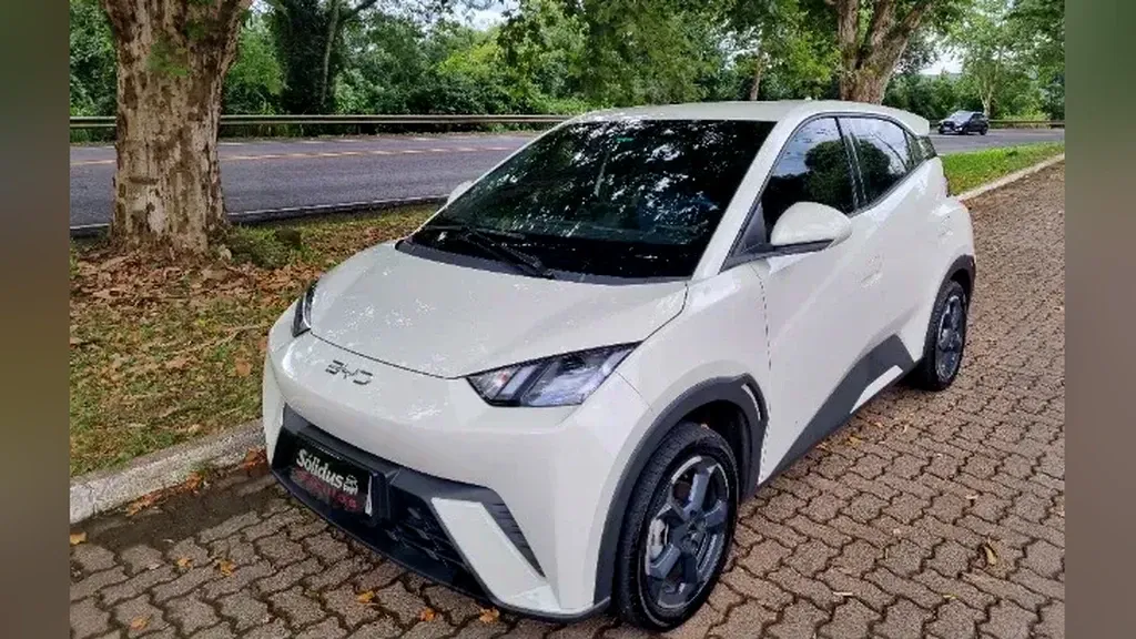 Foto de um byd dolphin mini