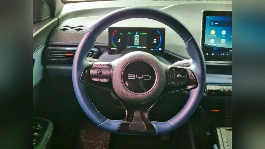 BYD Dolphin Mini - Imagem 16