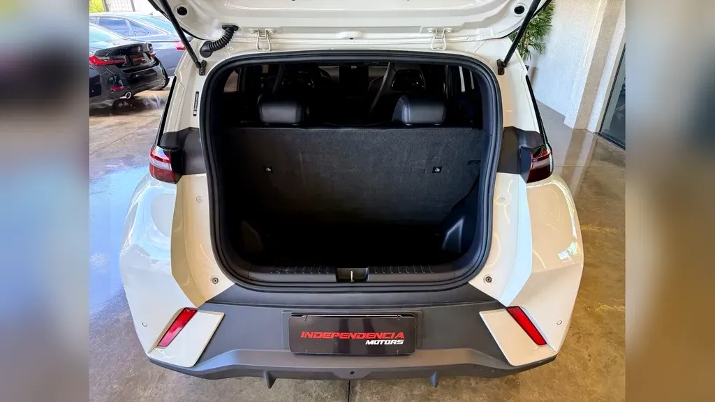 BYD Dolphin Mini - Imagem 8