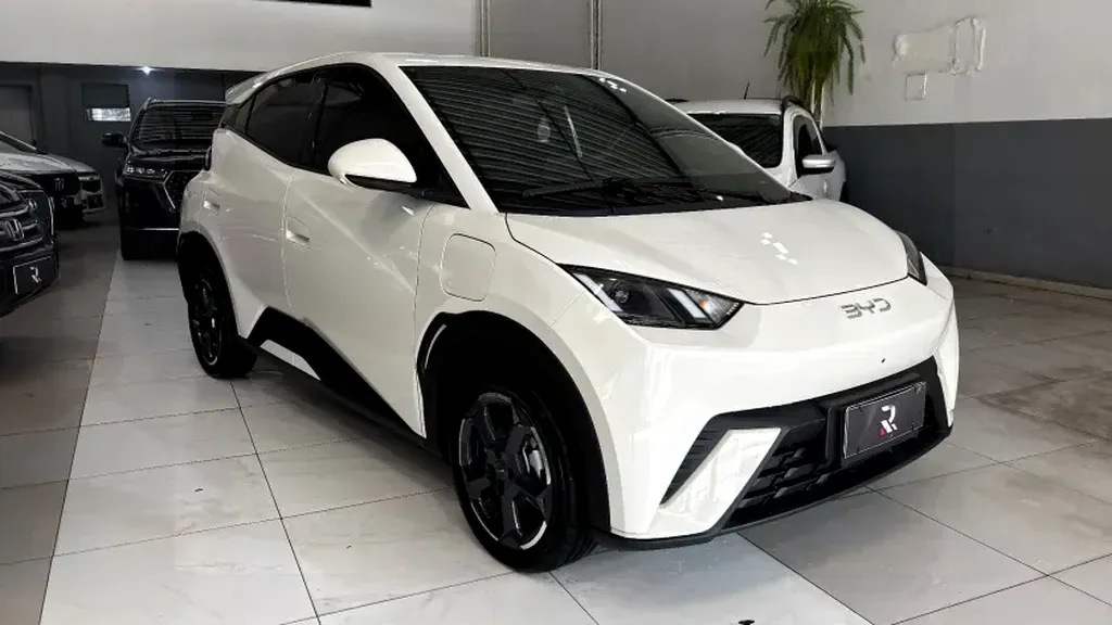 Foto de um byd dolphin mini