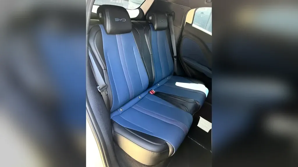 BYD Dolphin Mini - Imagem 8