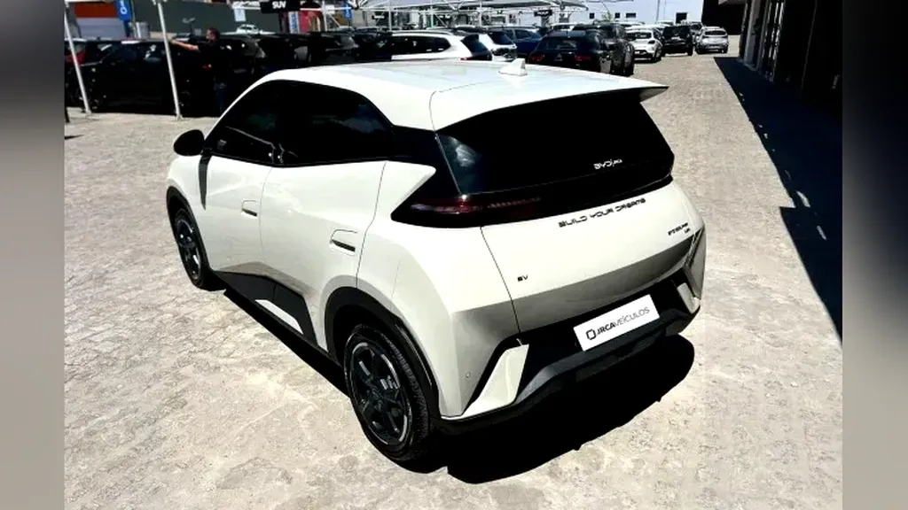 BYD Dolphin Mini - Imagem 11