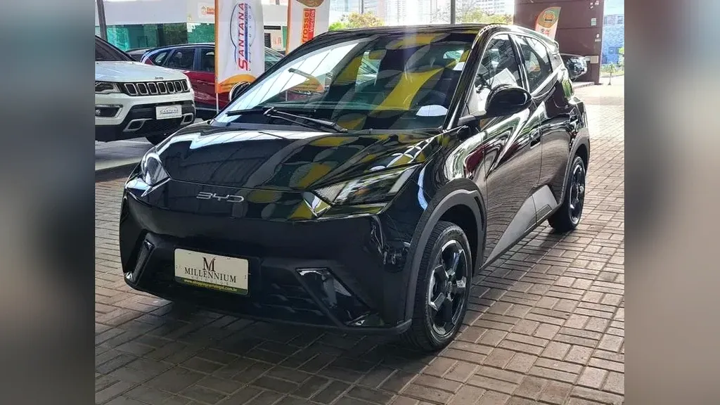 Foto de um byd dolphin