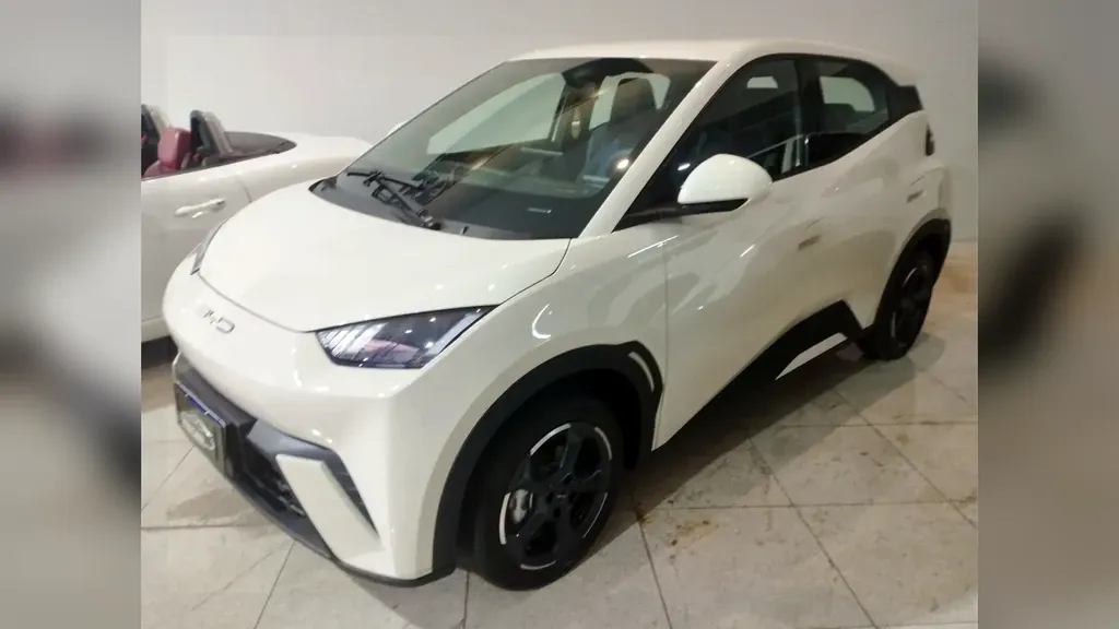 Foto de um byd dolphin mini