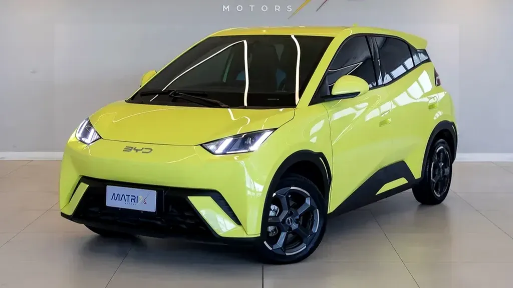 Foto de um byd dolphin mini