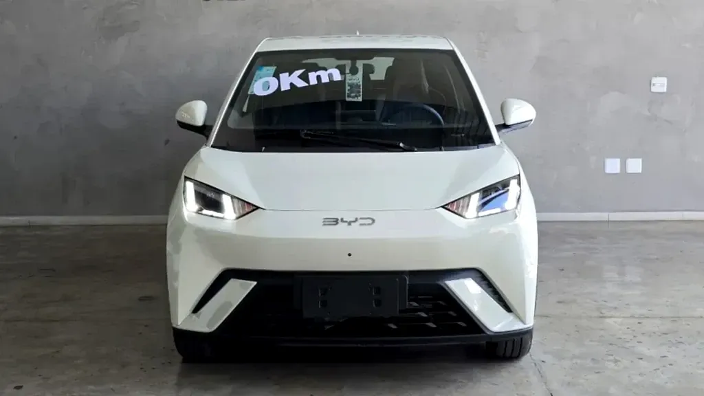 Foto de um byd dolphin mini