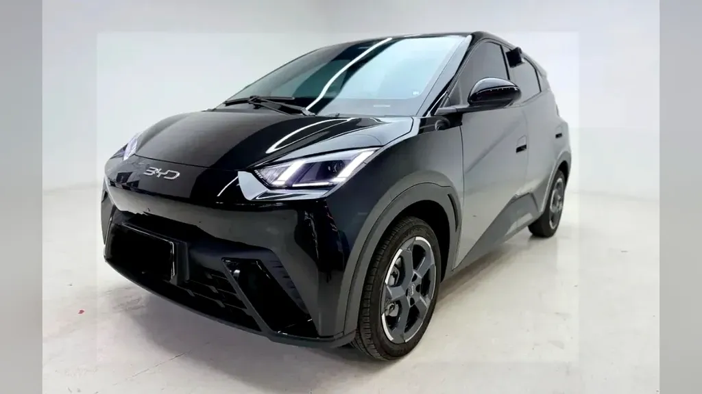 Foto de um byd dolphin mini