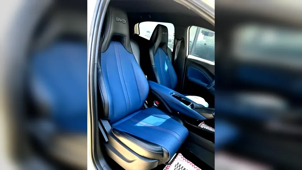 BYD Dolphin Mini - Imagem 18