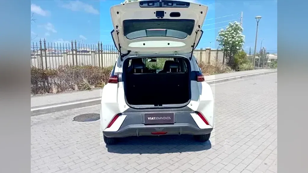 BYD Dolphin Mini - Imagem 16