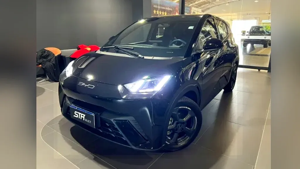 Foto de um byd dolphin mini