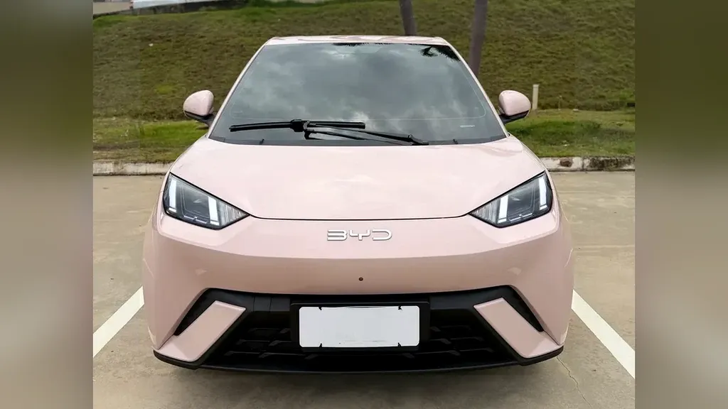 Foto de um byd dolphin mini