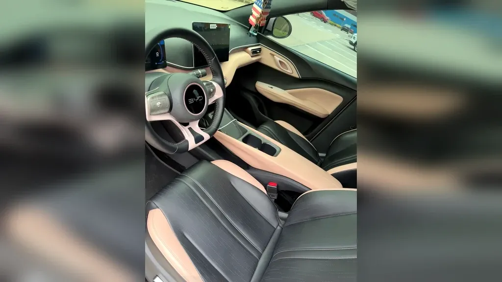 BYD Dolphin Mini - Imagem 10