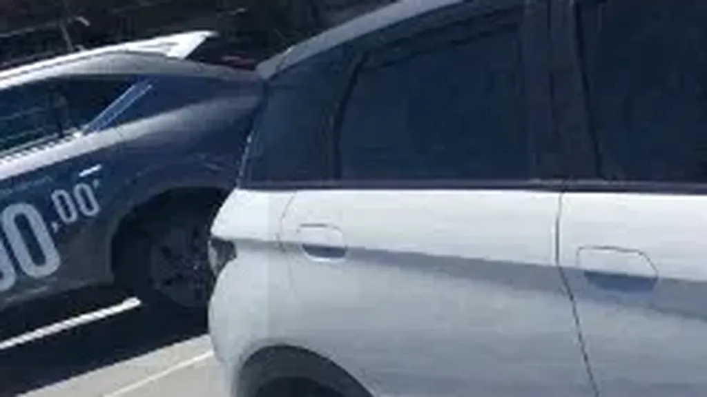 BYD Dolphin Plus - Imagem 6