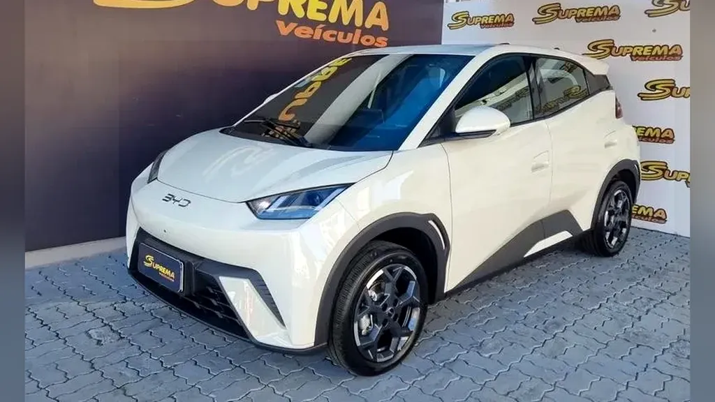 Foto de um byd dolphin