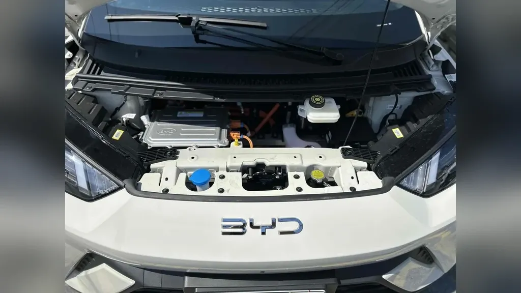 BYD Dolphin Mini - Imagem 8