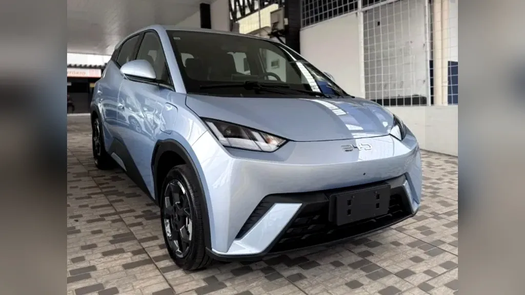 Foto de um byd dolphin mini