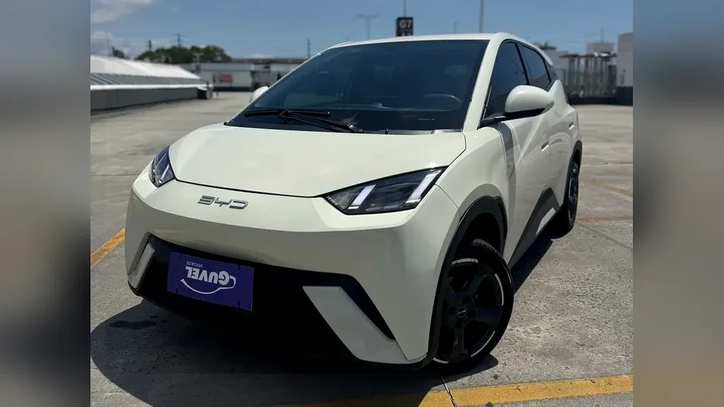 BYD Dolphin Mini - Imagem 15