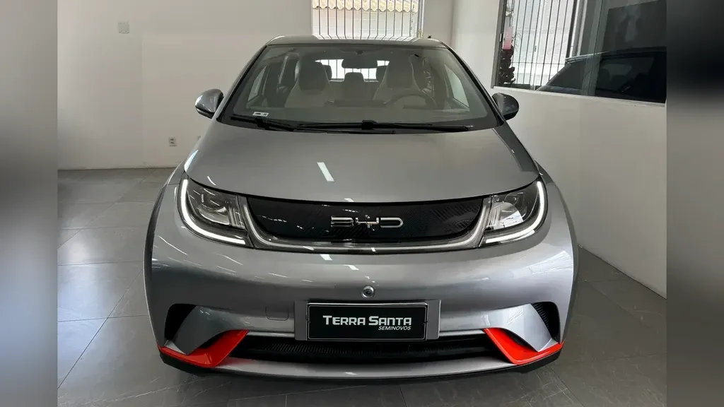 Foto de um byd dolphin