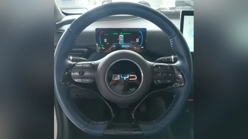 BYD Dolphin Mini - Imagem 10