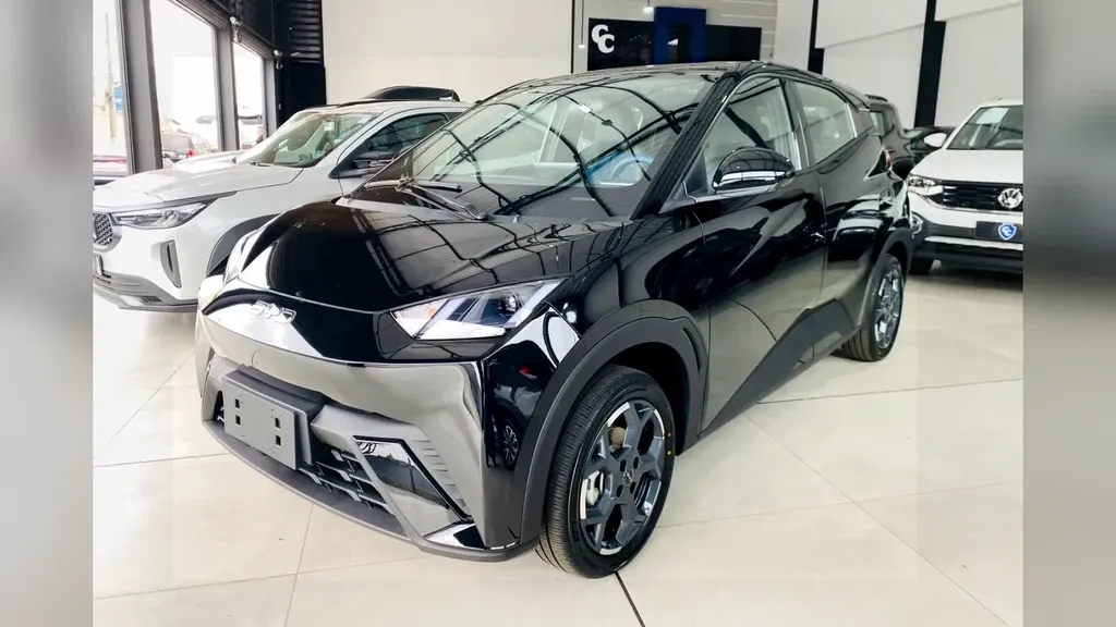 Foto de um byd dolphin mini