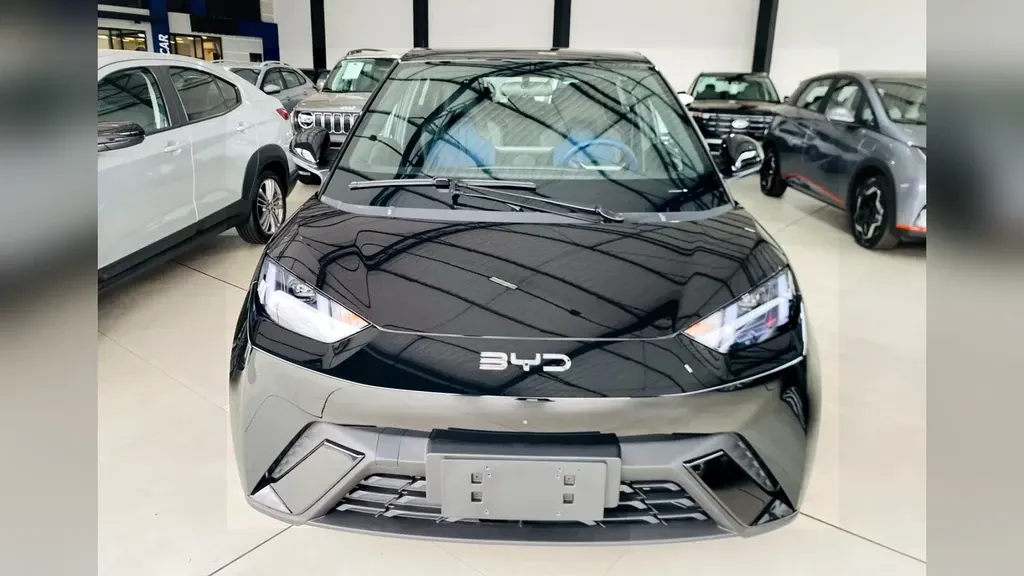 BYD Dolphin Mini - Imagem 2