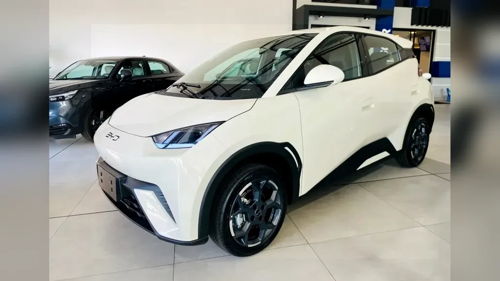 Foto de um byd dolphin mini