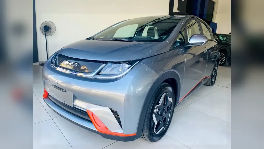 Foto de um byd dolphin