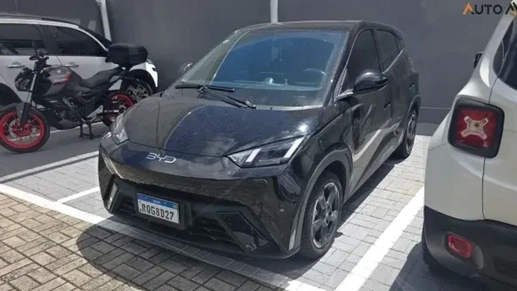 Foto de um byd dolphin