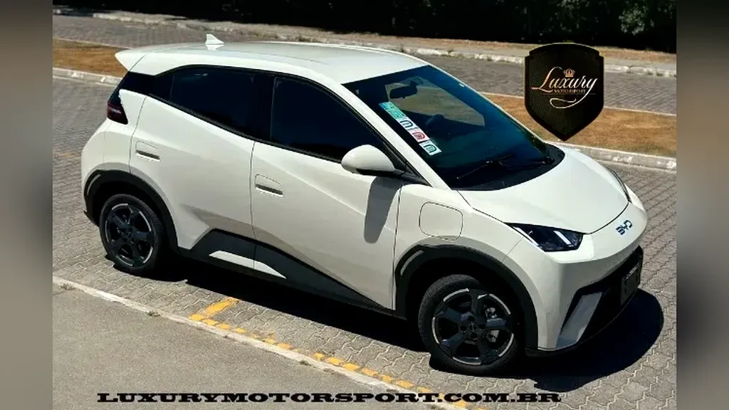 Foto de um byd dolphin mini