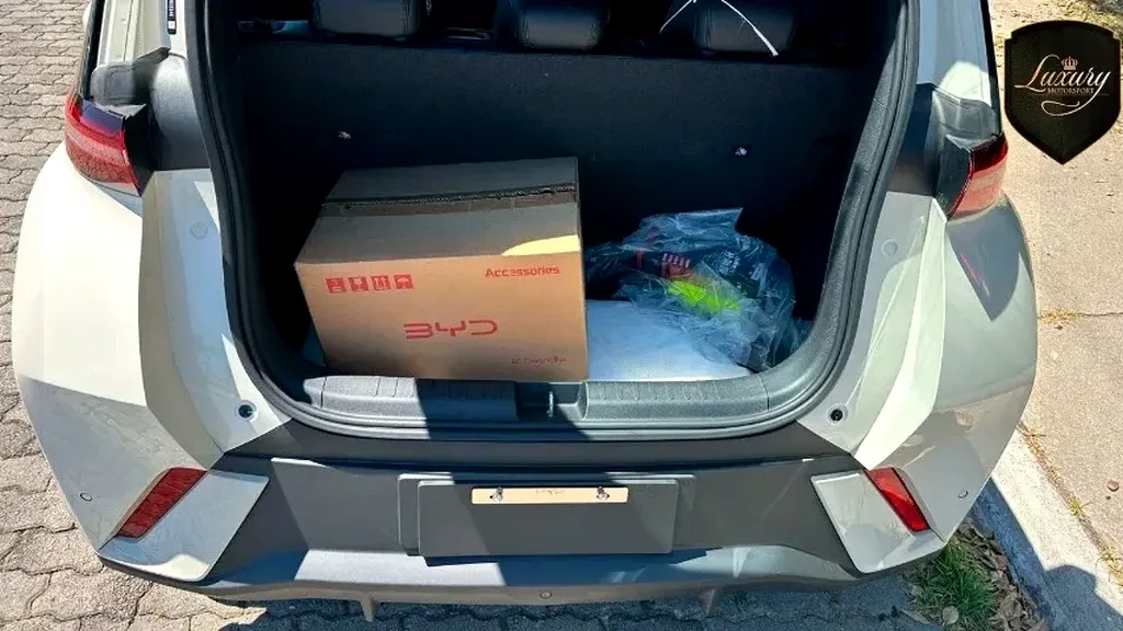 BYD Dolphin Mini - Imagem 7