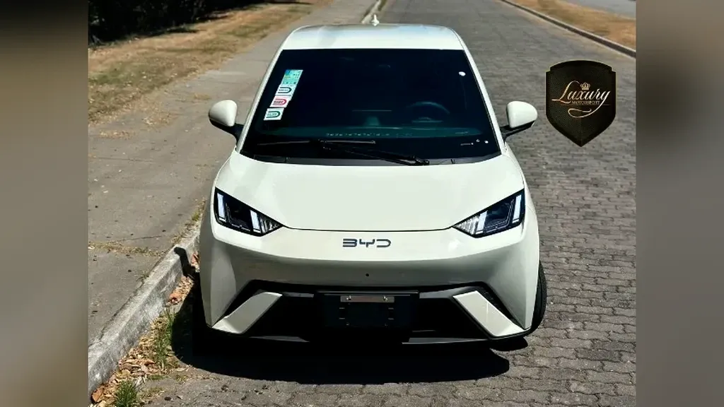 BYD Dolphin Mini - Imagem 9