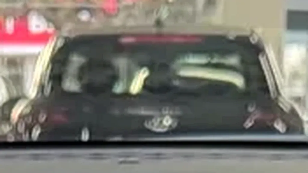 BYD Dolphin Mini - Imagem 8