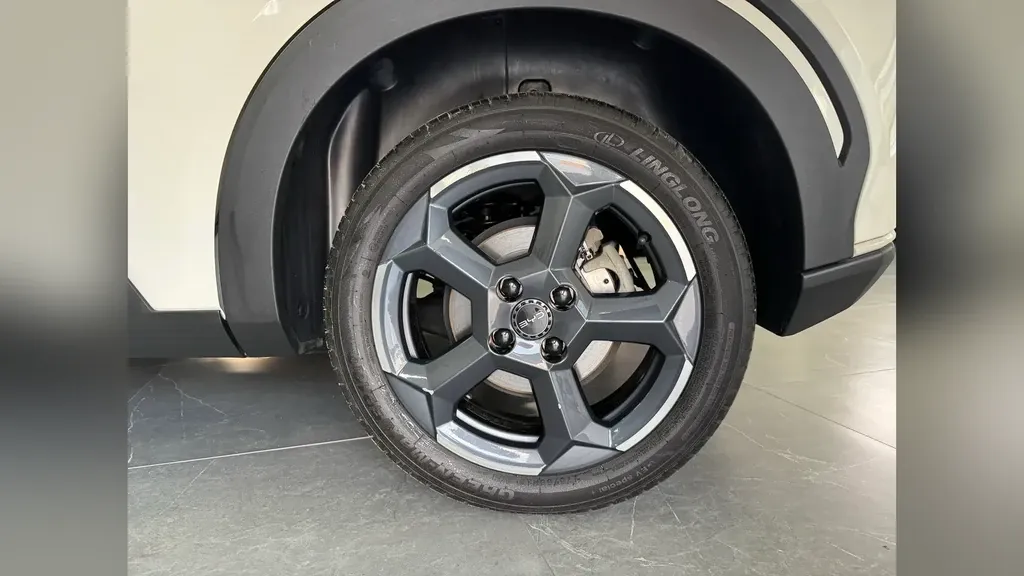 BYD Dolphin Mini - Imagem 11