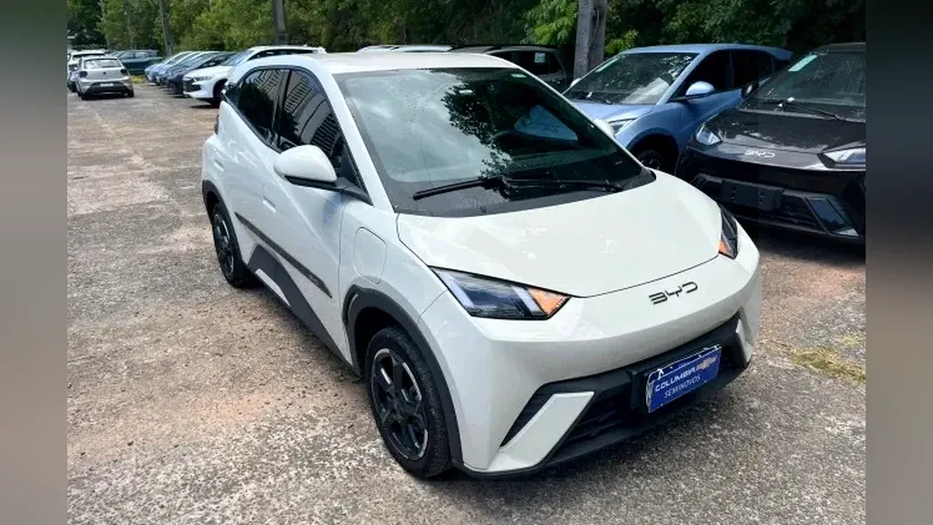 Foto de um byd dolphin mini