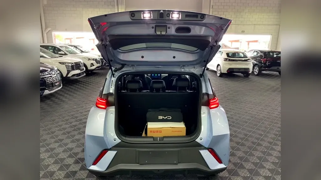 BYD Dolphin Mini - Imagem 20