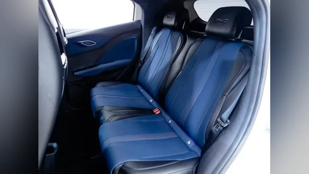 BYD Dolphin Mini - Imagem 12