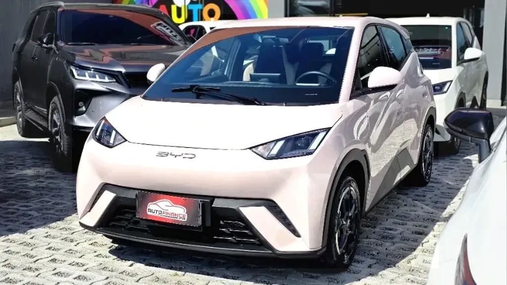 Foto de um byd dolphin mini