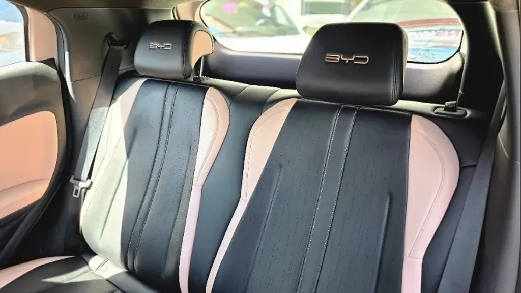 BYD Dolphin Mini - Imagem 6