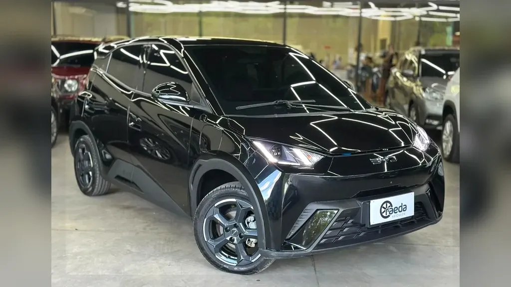 Foto de um byd dolphin mini