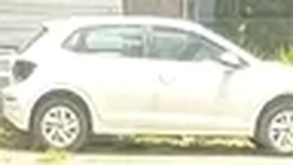 BYD Dolphin Mini - Imagem 4