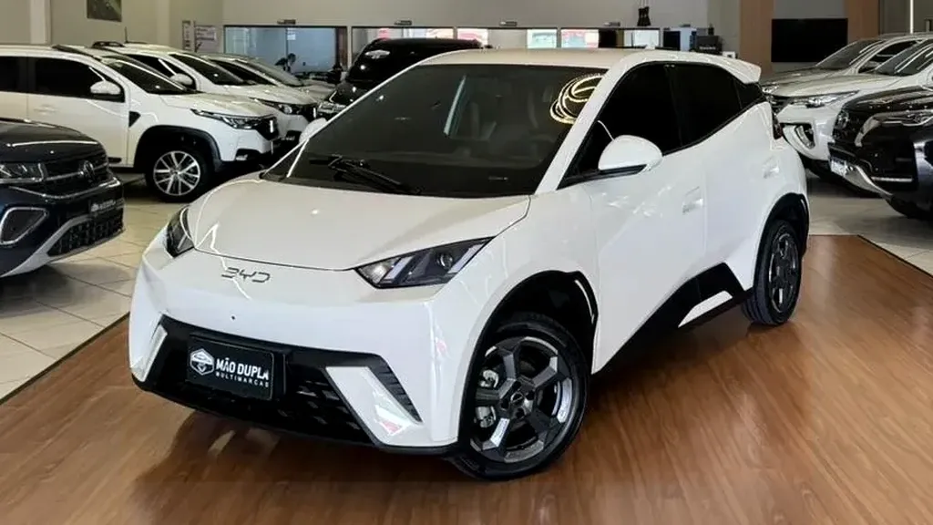 Foto de um byd dolphin