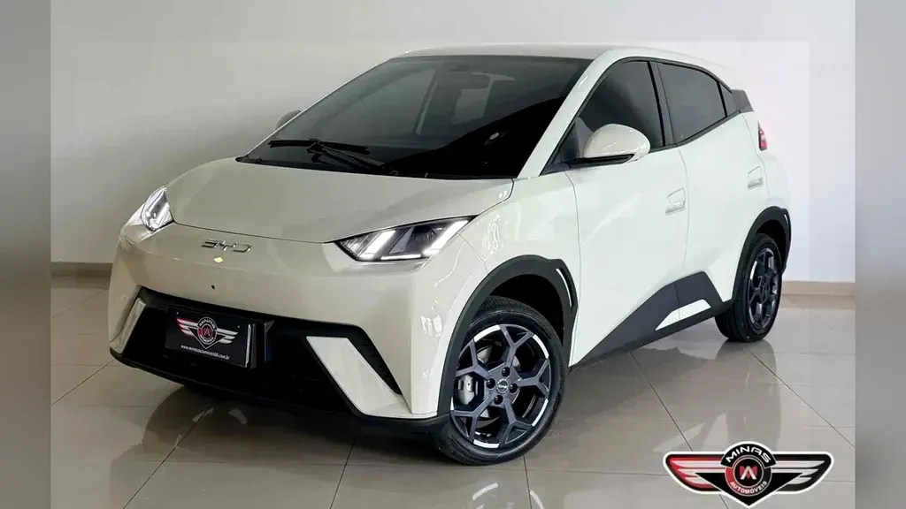 Foto de um byd dolphin mini